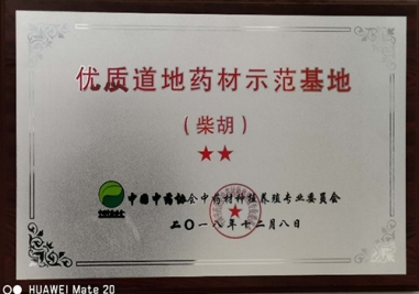 山東百味堂中藥飲片有限公司柴胡種植基地榮獲“優(yōu)質道地藥材示范基地”